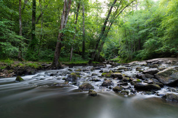 umstead state park in raleigh, north carolina - umstead state park stock pictures, royalty-free photos & images