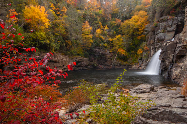 linville falls in blue ridge parkway near asheville, north carolina - gorges state park nc stock pictures, royalty-free photos & images