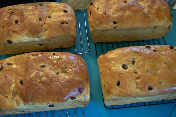 four loaves of raisin bread - raisin bread stock pictures, royalty-free photos & images