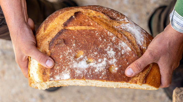 male hands holding a freshly baked artisan whole sourdough rustic bread loaf. - round bread loaf stock pictures, royalty-free photos & images