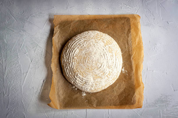 littlebourne, kent, england, uk. 3 may 2022. bread dough formed into a loaf, prior to baking. - round bread stock pictures, royalty-free photos & images