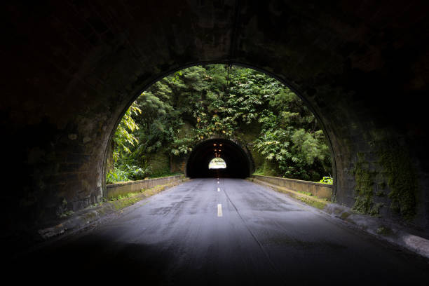 road tunnels in a forest, azores islands - tunnel stock pictures, royalty-free photos & images